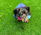 Dachshund Fleece Dog Jumper: Water Resistant Galaxy Print.