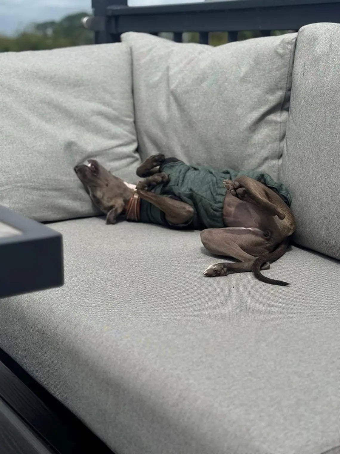 Cable Knit Fleece Italian Greyhound Jumper: Cozy Thermal Dog Fleece.