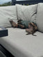Cable Knit Fleece Italian Greyhound Jumper: Cozy Thermal Dog Fleece.