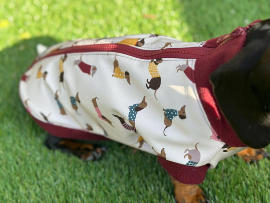 Dachshund Print Softshell Fleece Dog Jacket: Waterproof Jumper.