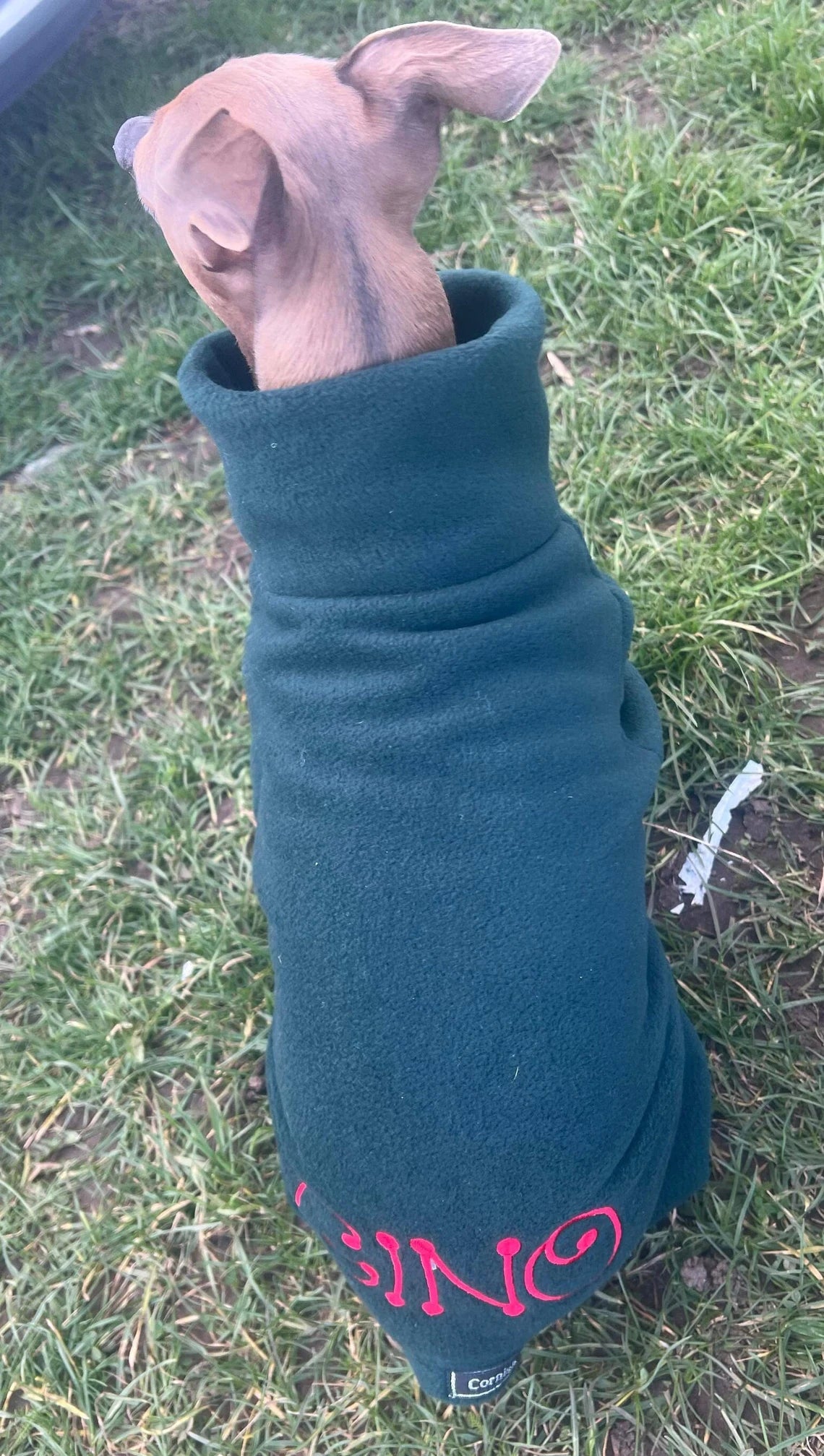 Italian Greyhound Fleece Onesie: Water Repellent Dog Jumpsuit.