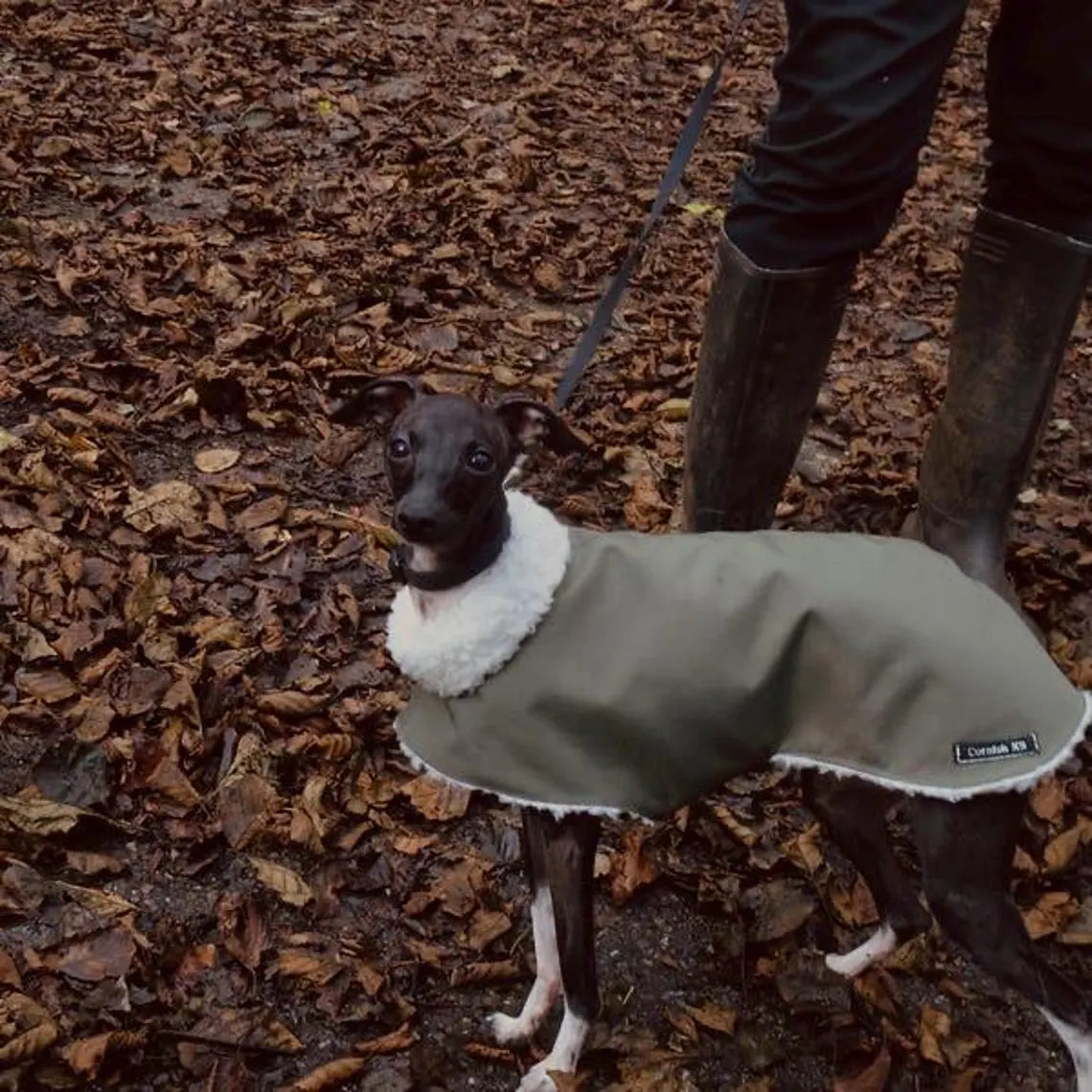 Waterproof Italian Greyhound Coat: Sherpa Fleece Lined Iggy Coat.