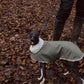 Waterproof Italian Greyhound Coat: Sherpa Fleece Lined Iggy Coat.