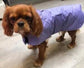 Dachshund Quilted Dog Coat: Water-Resistant Fleece Lined Winter Jacket