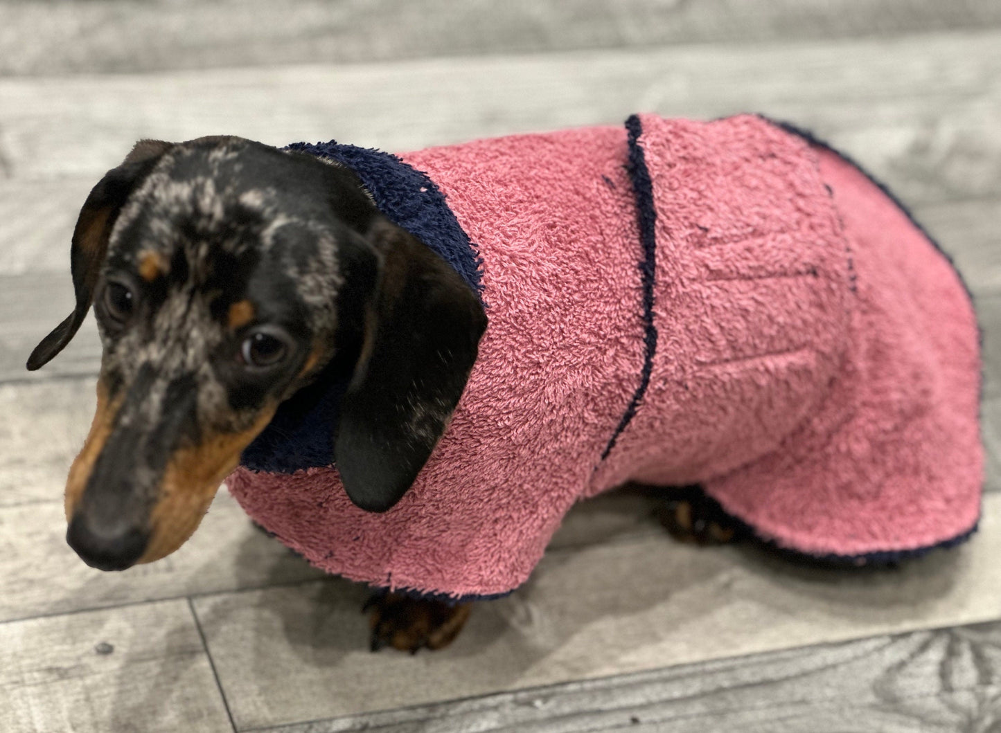 Double Layered Dog Drying Robe: Absorbent Cotton Terry Towelling