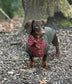 Tartan Dachshund Harness Set: Padded Fleece, No-Choke Design