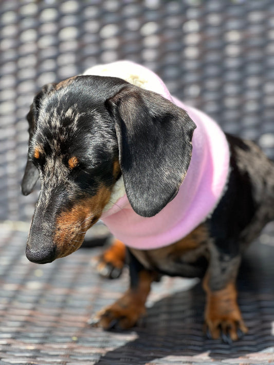 Dachshund Fleece Snood: Sherpa Lined Dog Neck Warmer