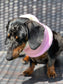 Dachshund Fleece Snood: Sherpa Lined Dog Neck Warmer