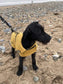 Mustard Waterproof Dachshund Dog Coat: Fleece Lined, Harness Hole