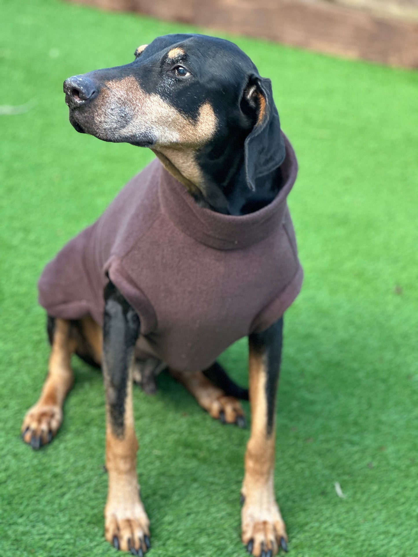 Fleece Dog Jumper: Water & Mud Repellent, Step-In Design