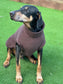 Fleece Dog Jumper: Water & Mud Repellent, Step-In Design