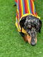 Striped Rib Jersey Dachshund Jumper: Washable Dog T-Shirt
