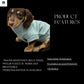 Waterproof Dachshund Hoodie: Fleece Lined, Mud Repellent Soft Shell
