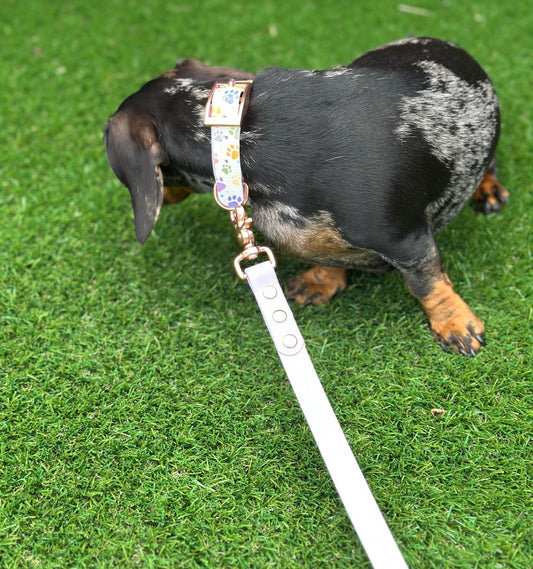 Waterproof Biothane Dog Collar & Lead Set: Rose Gold Hardware