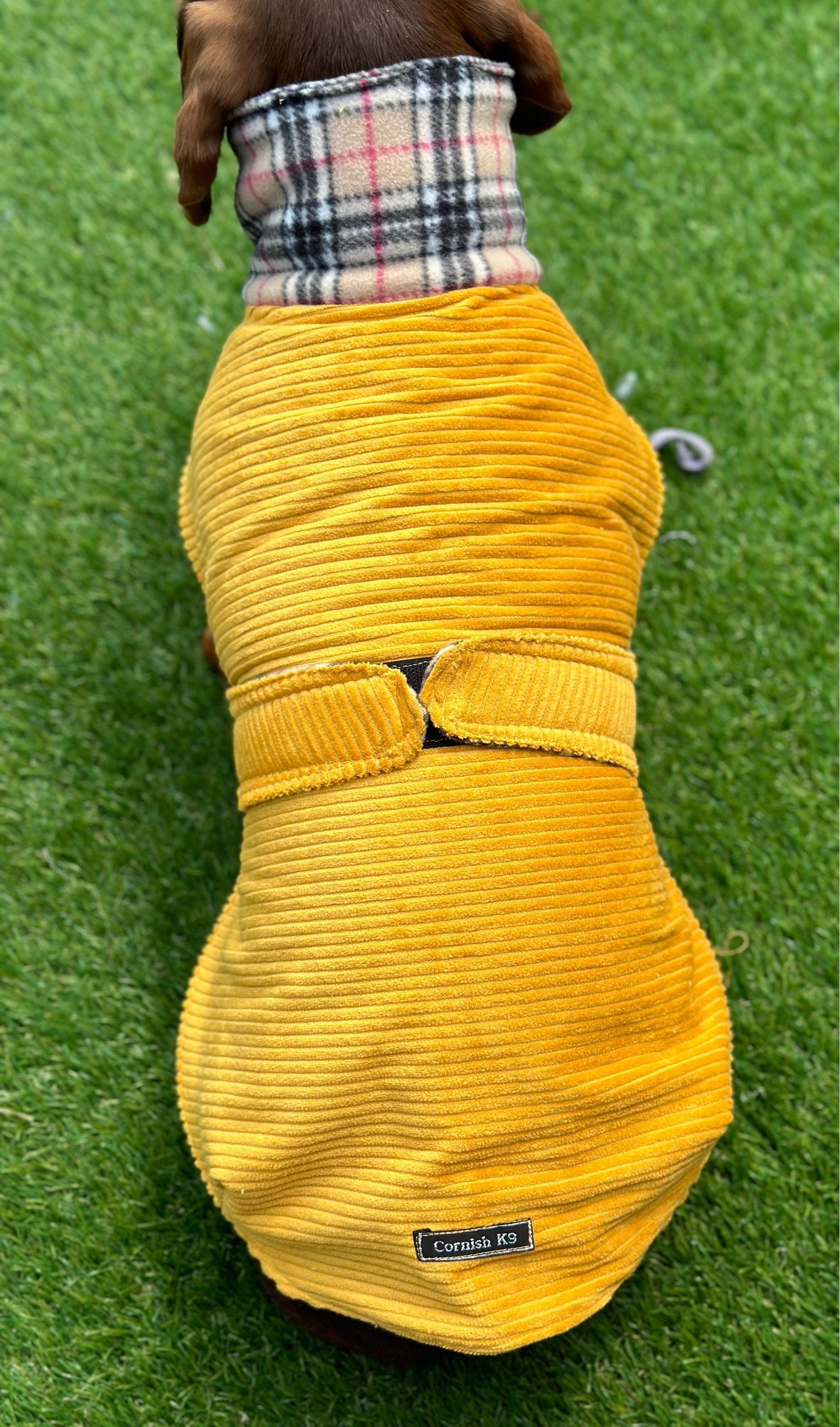 Corduroy Dachshund Coat: Fleece Lined Dog Jacket