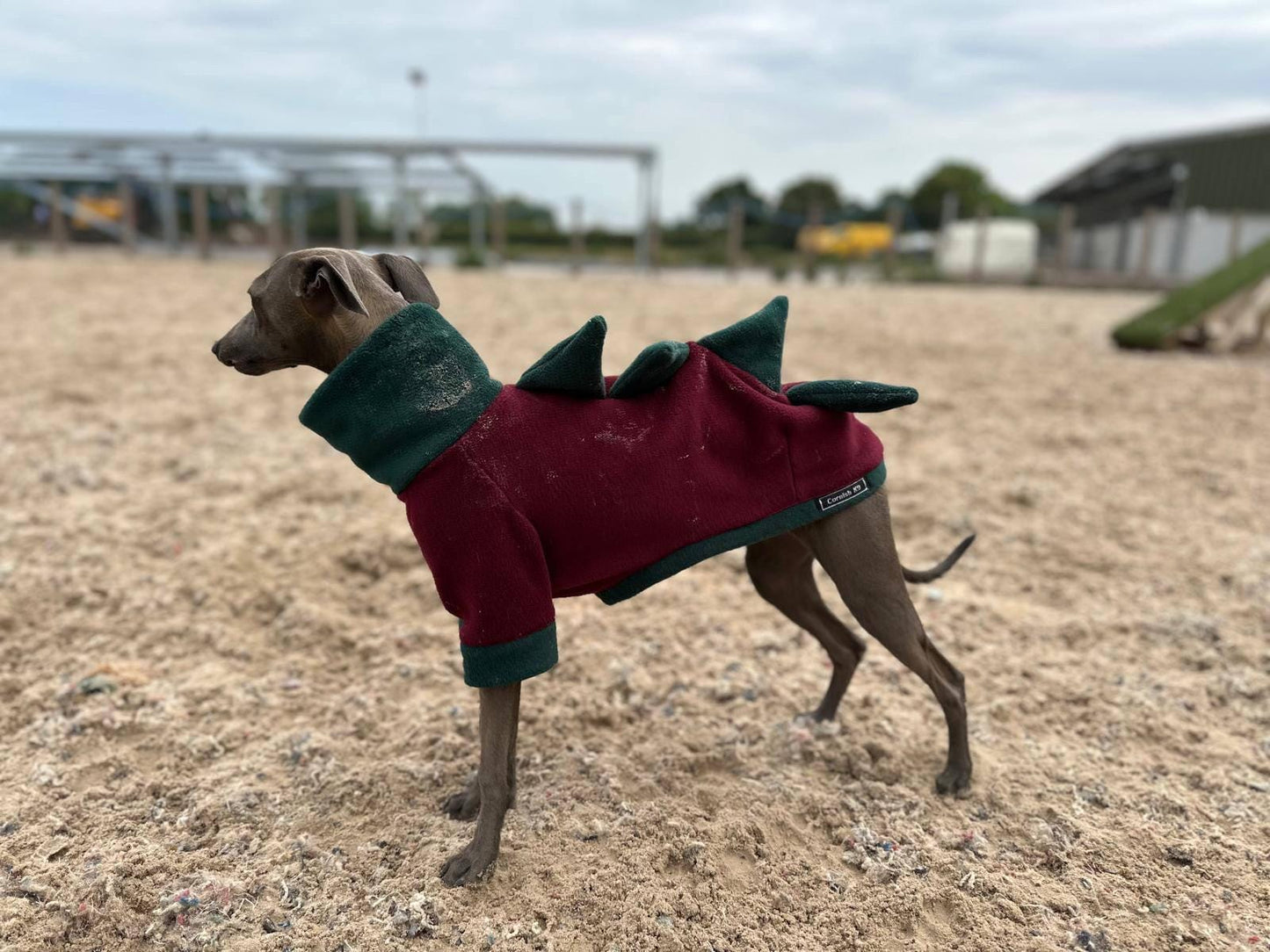 Italian greyhound dino legged Fleece jumper ,fleece jumper ,breathable dog jumper, dog jacket,,Water & Mud Repellent dog suit
