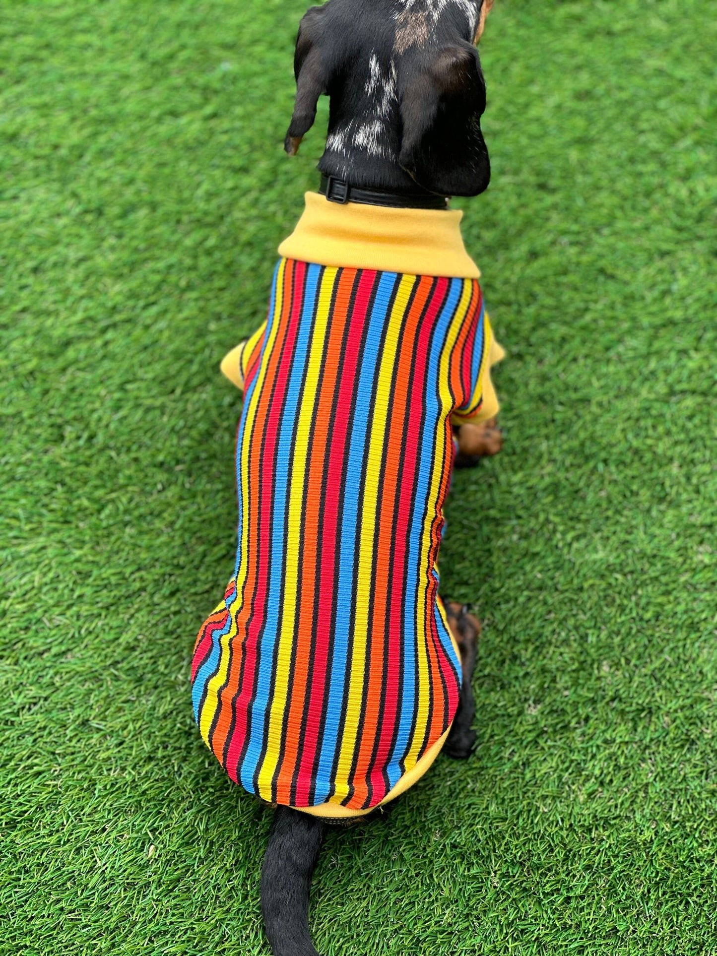 Striped Rib Jersey Dachshund Jumper: Washable Dog T-Shirt