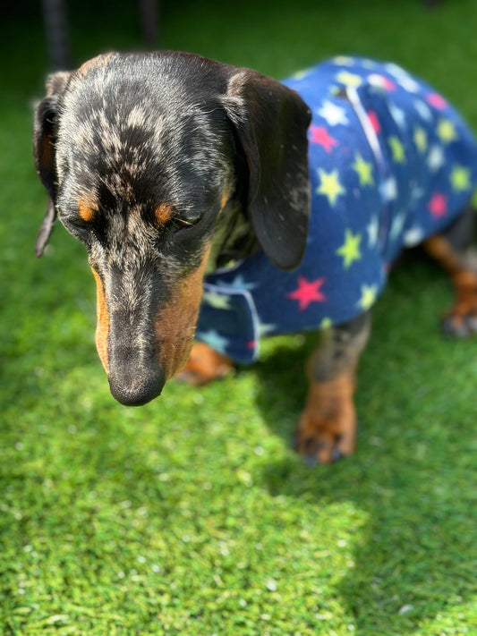 Dachshund Fleece Dog Coat: Navy Star Print, Water Repellent