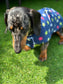 Dachshund Fleece Dog Coat: Navy Star Print, Water Repellent