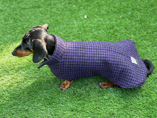 Harris tweed Dachshund  coat , tweed dog coat , dog coat , dachshund  dog coat , dog jacket, wool dog coat