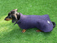 Harris tweed Dachshund  coat , tweed dog coat , dog coat , dachshund  dog coat , dog jacket, wool dog coat