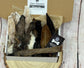 Natural Dog Treat Box: Cornish K9 Fur Ears Hamper, Made in UK
