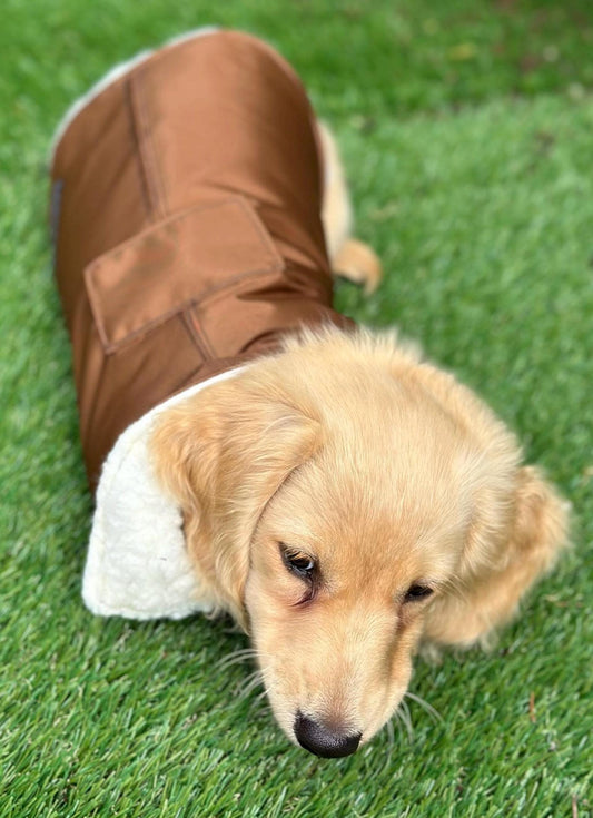 Waterproof Dachshund Coat: Sherpa Fleece Lined, Hideaway Harness Hole