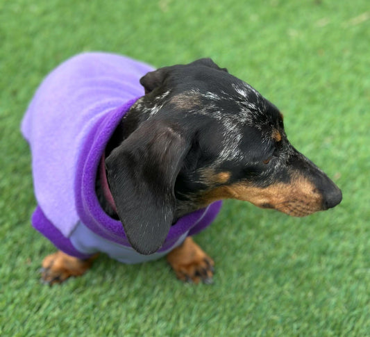 Waterproof Dachshund Fleece Jumper: Eco-Friendly Dog Suit