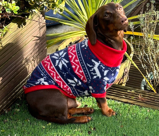 Dachshund Christmas Fleece coat ,dog jumper ,breathable dog jumper  , pet accessories, dog jacket,washable dog jumper