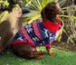 Dachshund Christmas Fleece coat ,dog jumper ,breathable dog jumper  , pet accessories, dog jacket,washable dog jumper