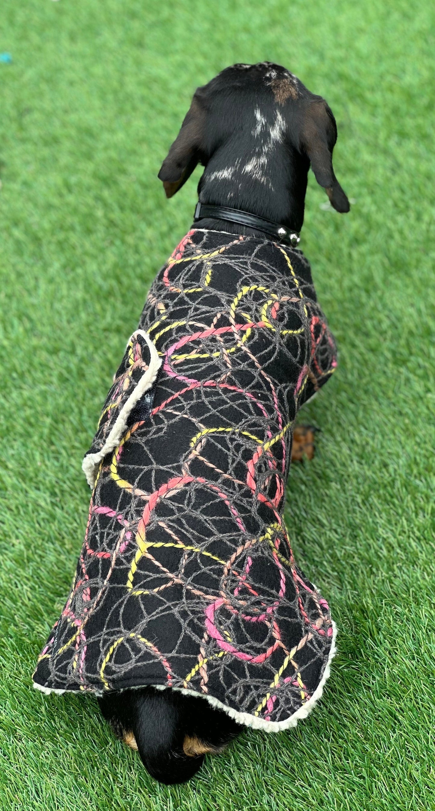 Tweed Dachshund Dog Coat: Sherpa Fleece Lined, Handmade Winter Jacket
