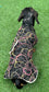 Tweed Dachshund Dog Coat: Sherpa Fleece Lined, Handmade Winter Jacket