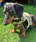 Cornish Tartan Dachshund Harness: Fleece Lined, No-Rub Design