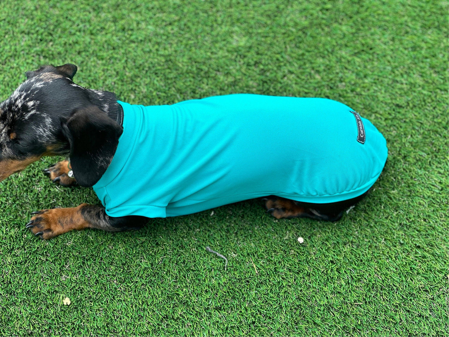 Dachshund Lycra Cooling Top: Moisture-Wicking Dog Jumper