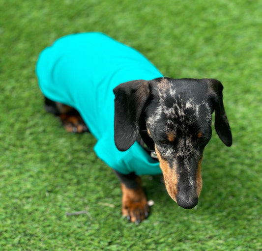 Dachshund Lycra Cooling Top: Moisture-Wicking Dog Jumper