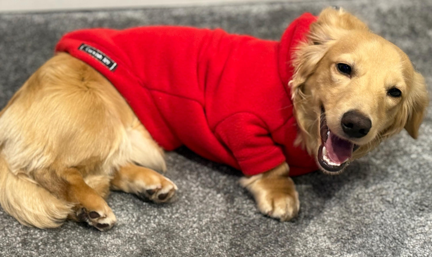 Dachshund hoodie Fleece top ,dachshund legged jumper , dachshund tankie, dachshund jacket,Water & Mud Repellent dachshund fleece