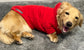 Dachshund hoodie Fleece top ,dachshund legged jumper , dachshund tankie, dachshund jacket,Water & Mud Repellent dachshund fleece