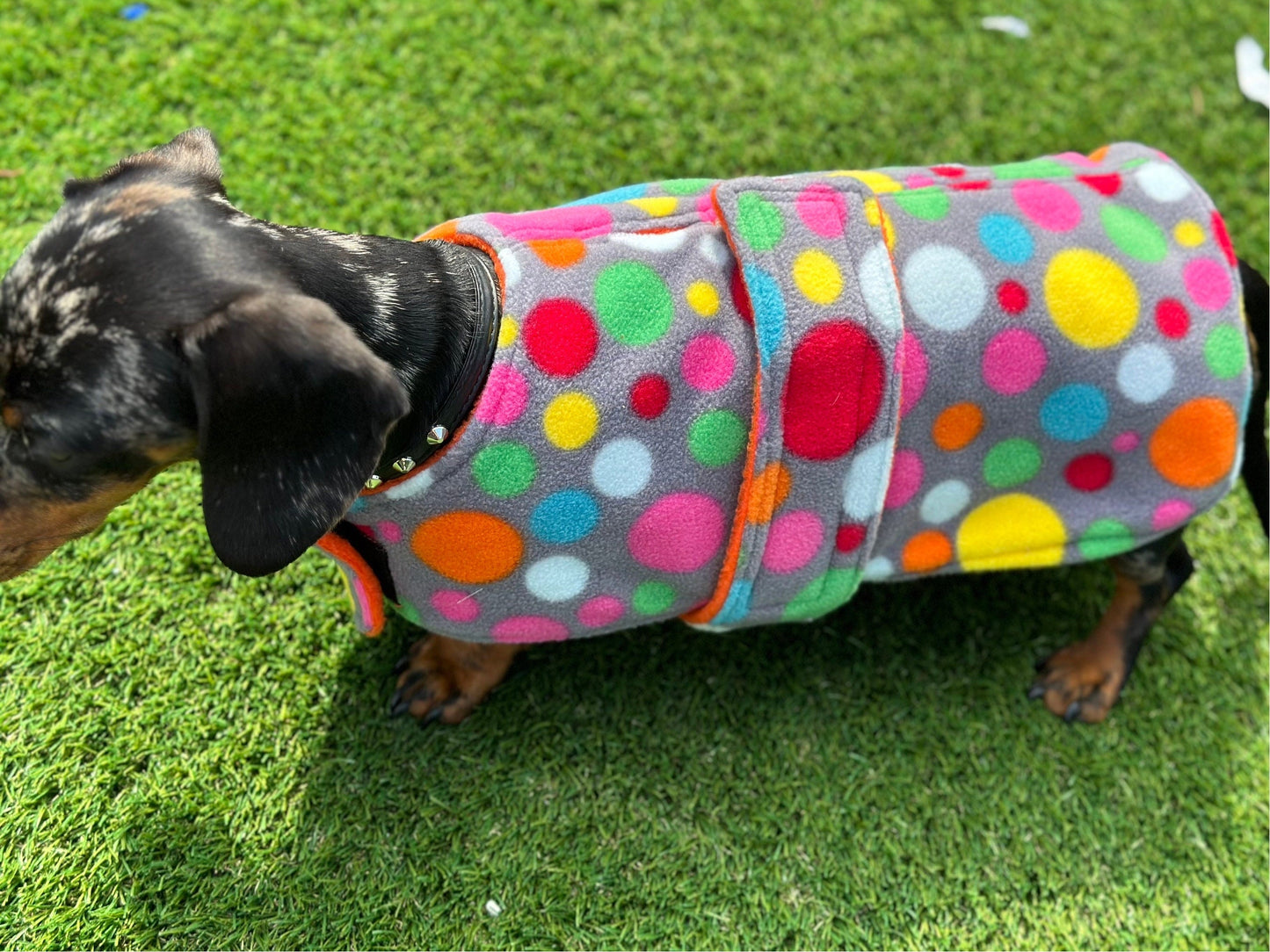 Polka Dot Dachshund Fleece Dog Coat: Water & Mud Repellent