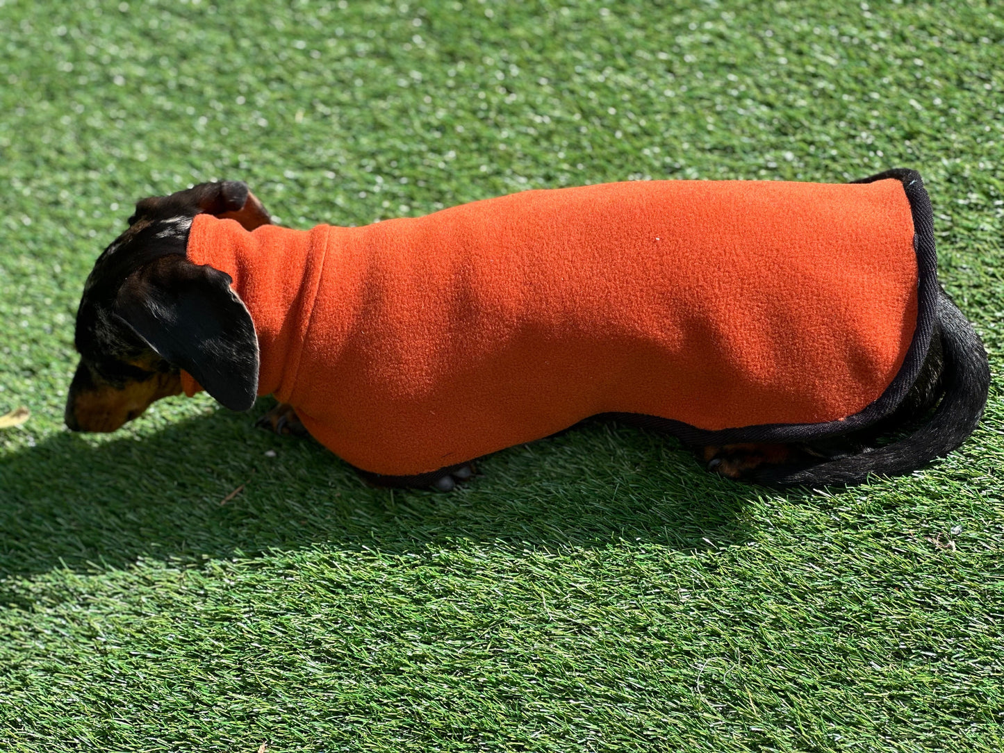 Dachshund Fleece Dog Coat: Mud Replacement, Double Layered, Custom Fit