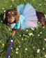 Dachshund Tutu Dog Dress: Made-to-Order Cotton Tunic