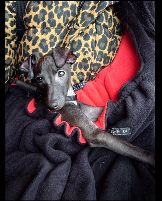Fleece Dog Sling Carrier: Small Breeds, Dachshund, Italian Greyhound