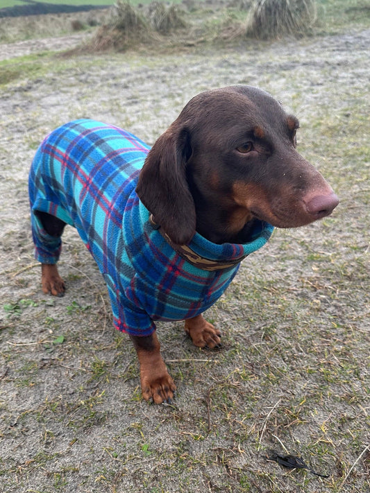 Tartan Fleece Dachshund Onesie: Water Repellent Dog Jumpsuit