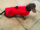 Waterproof Fleece Lined Dachshund Coat: Custom Fit Winter Dog Jacket