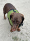 Dachshund Harness: Green Spacer Mesh, No-Rub Design