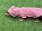 Waterproof Dachshund Hoodie: Fleece Lined, Mud Repellent Soft Shell