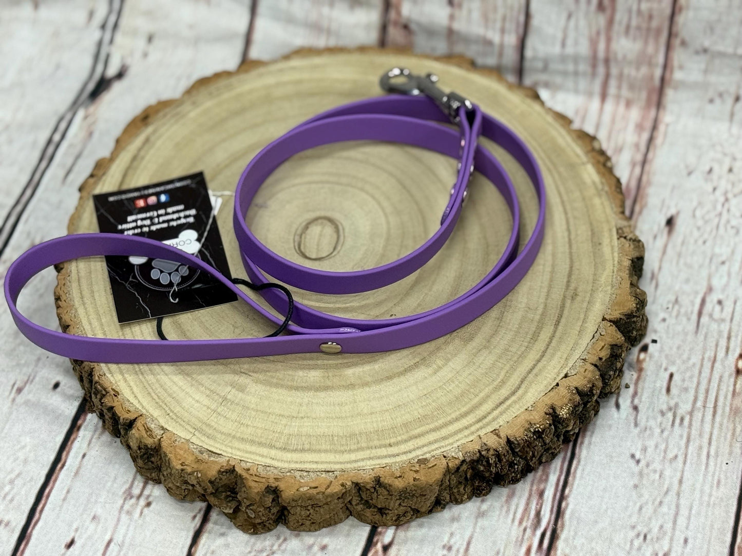 Waterproof Biothane Dog Collar & Lead Set: Silver Hardware, Small (11-13 inch neck)