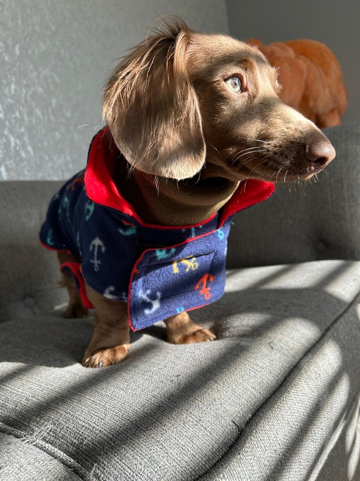 Dachshund Fleece Dog Coat: Double Layered, Harness Hole, Handmade