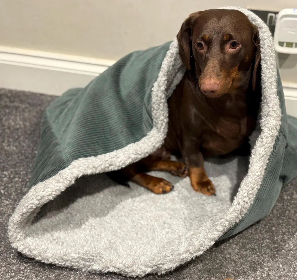 Padded Corduroy Dog Snuggle Sack: Sherpa Fleece Lined