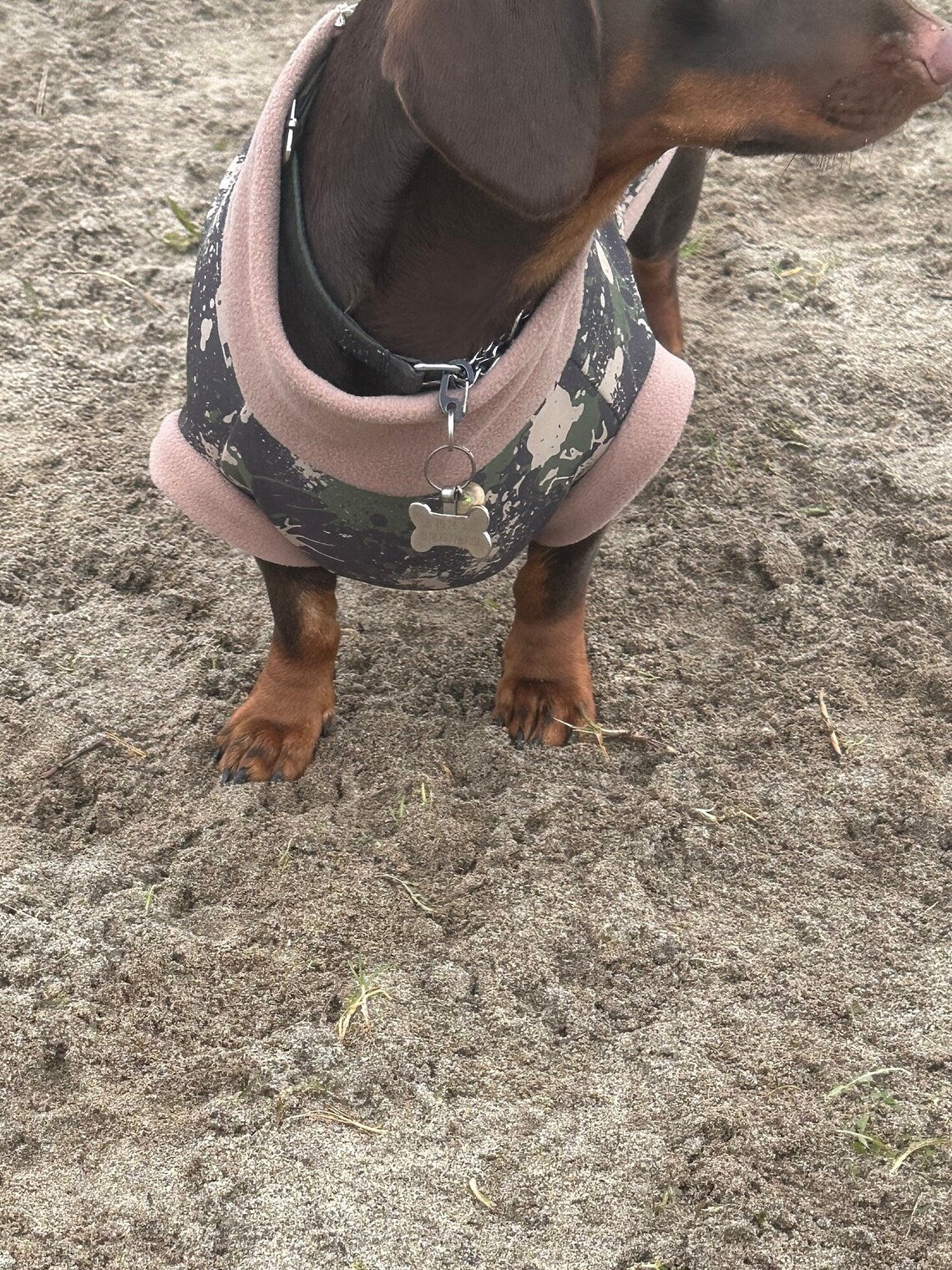 Water-Resistant Dachshund Fleece Jumper: Zipped Soft Shell, Handmade.