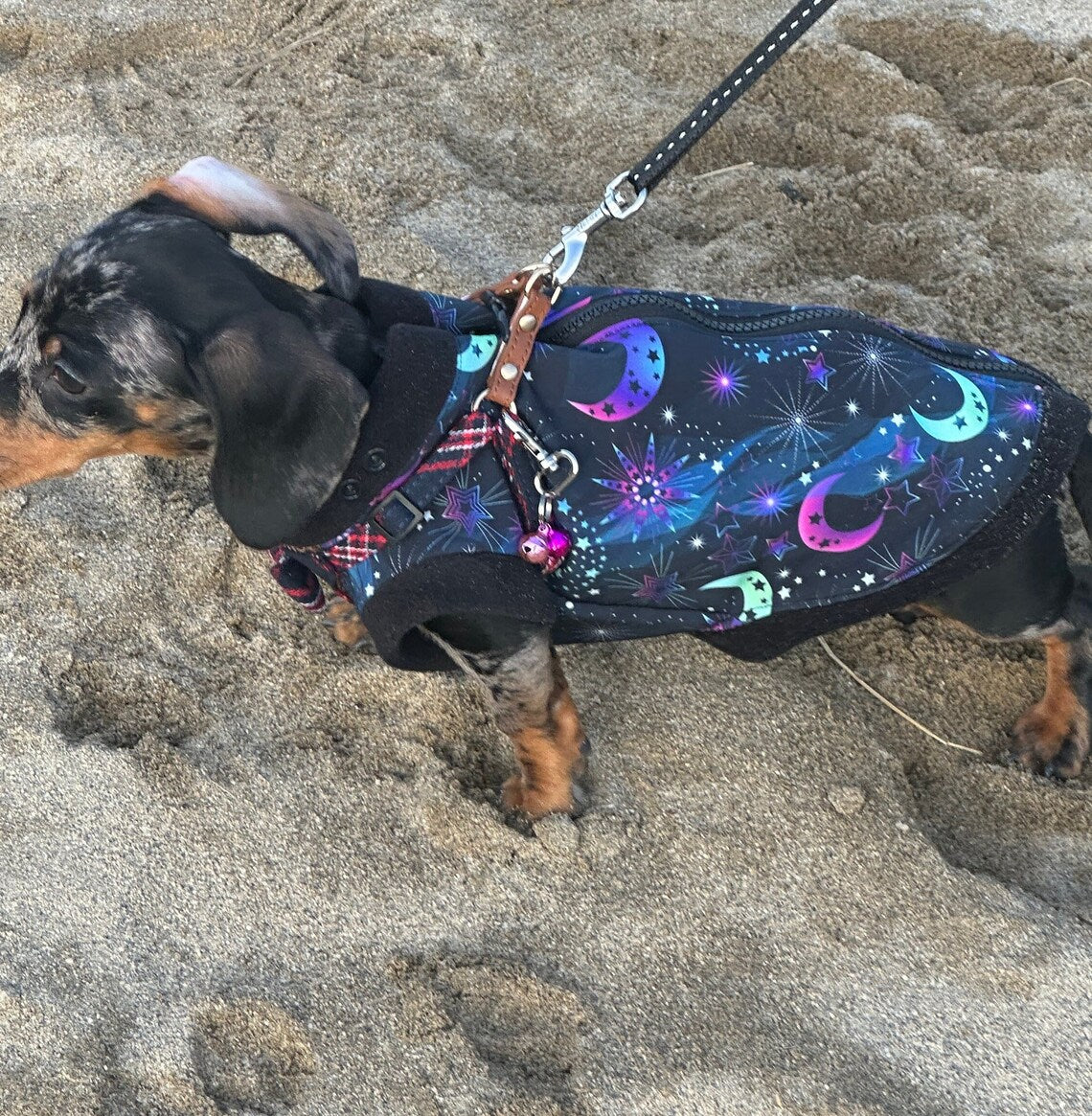 Waterproof Dachshund zipped jumper Softshell Dog Coat Mud Repellent.